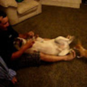 Meet your Posher, Toby